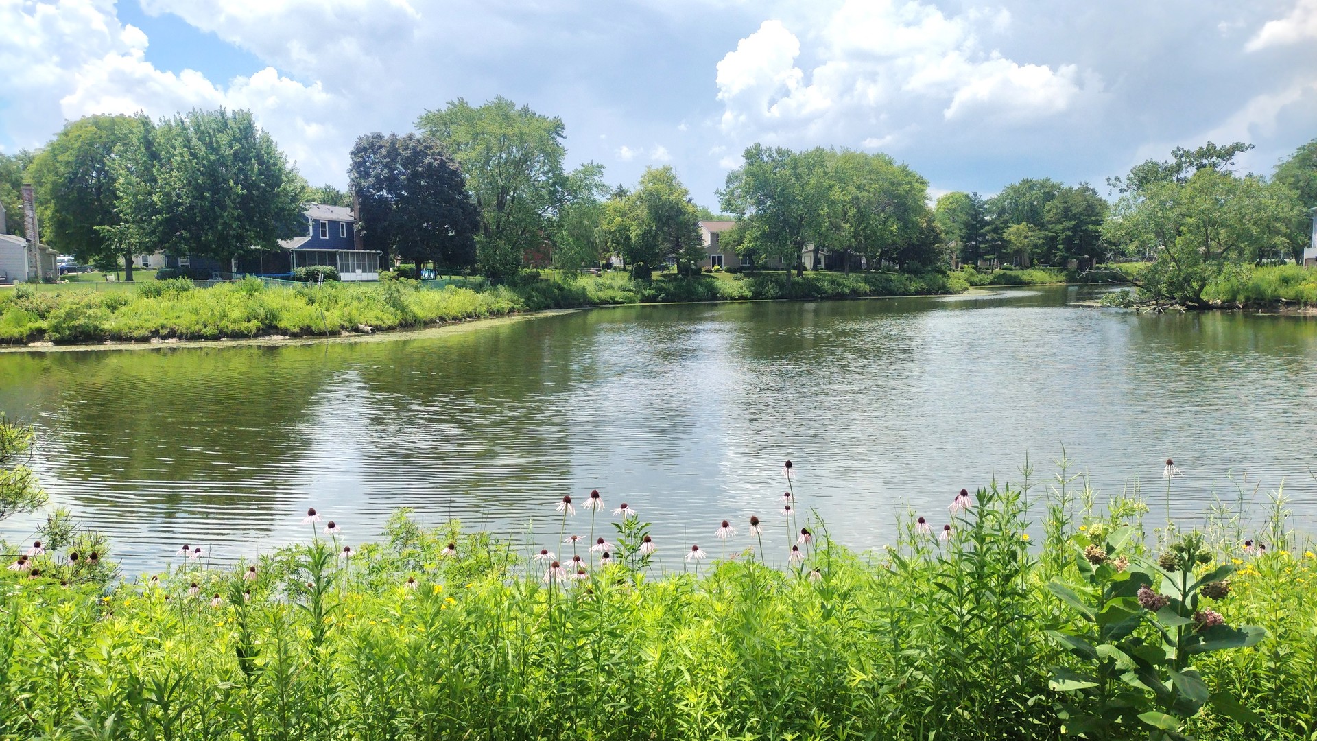 1114 Hampton Harbor, Schaumburg, IL 60193
