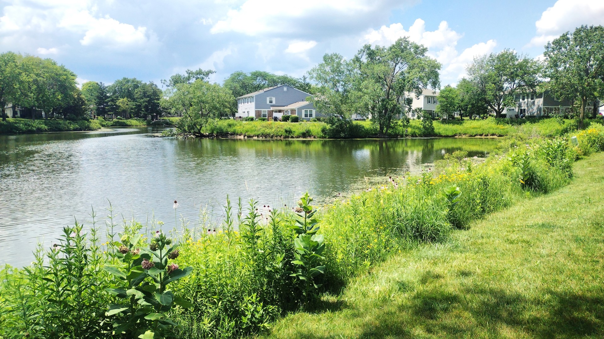 1114 Hampton Harbor, Schaumburg, IL 60193