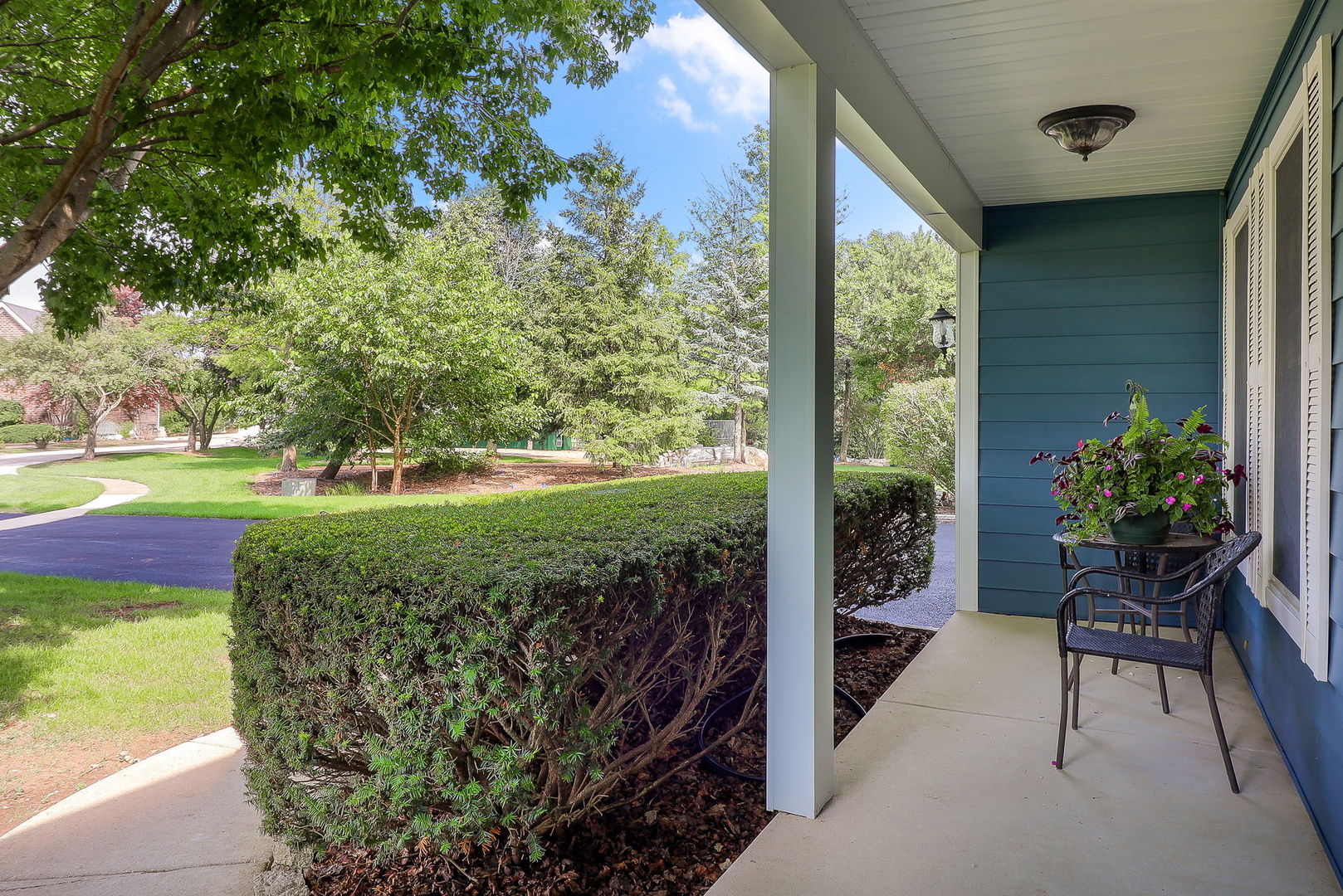 13360 Vicky Street, Plainfield, IL 60585