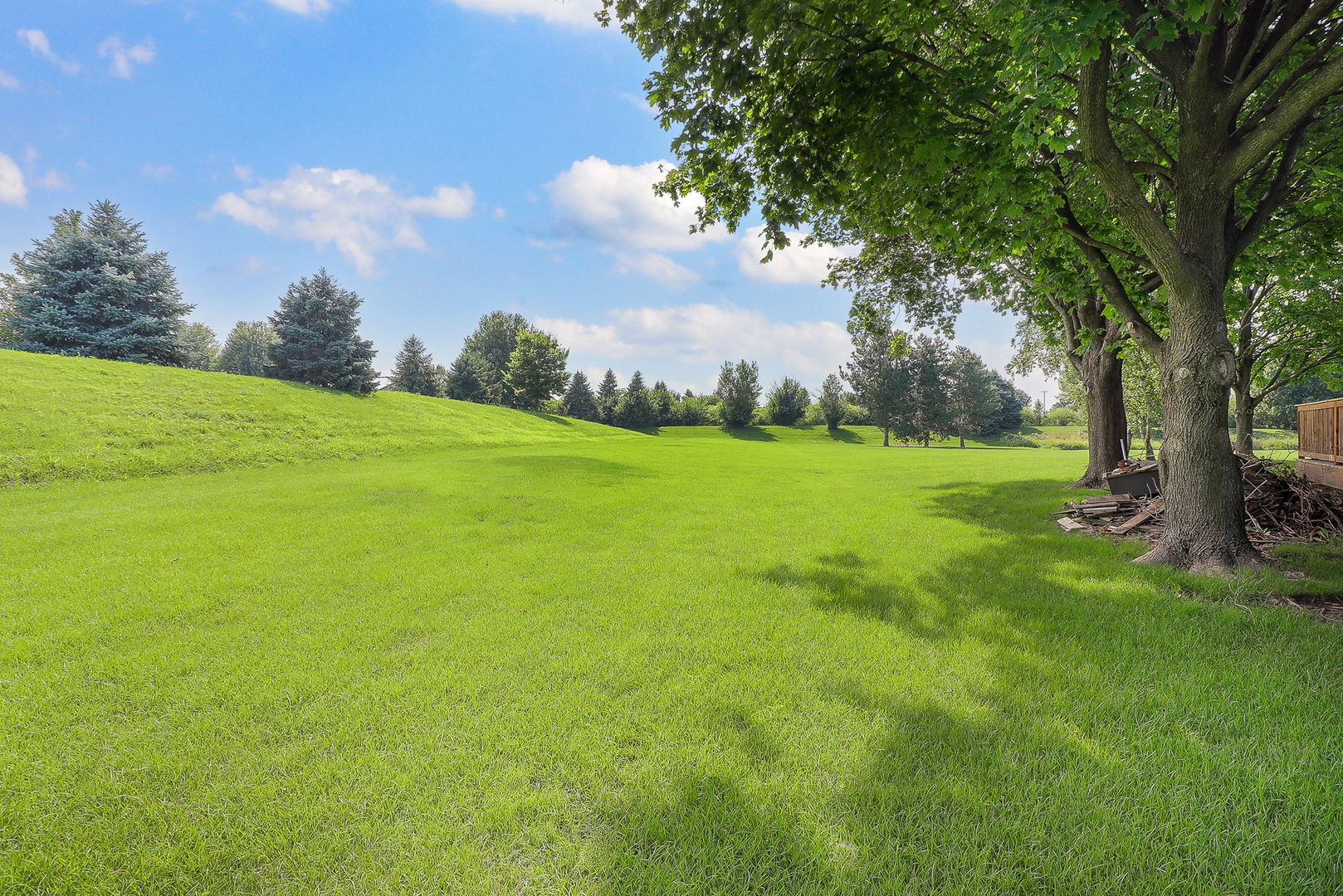 13360 Vicky Street, Plainfield, IL 60585