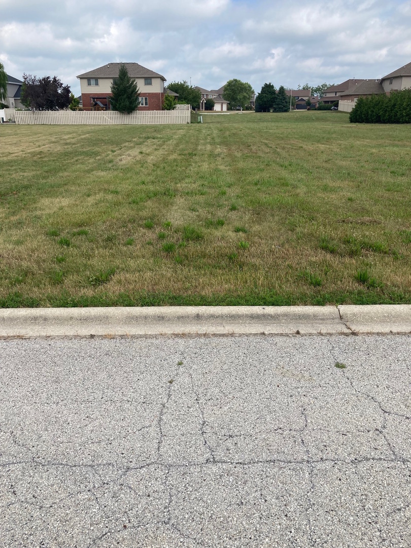 485 Rock Creek Drive, Manteno, IL 60950