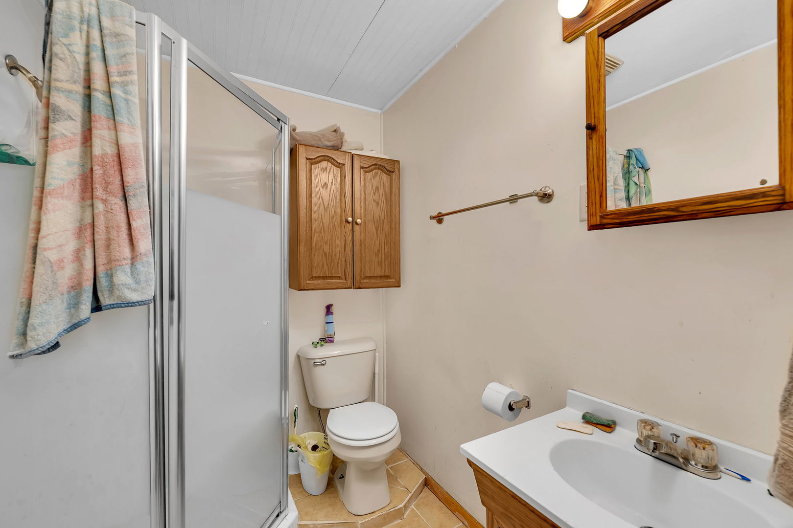 309 E Elk Street, Odell, IL 60460
