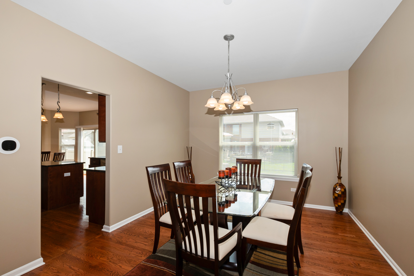 21139 Vivienne Drive, Matteson, IL 60443