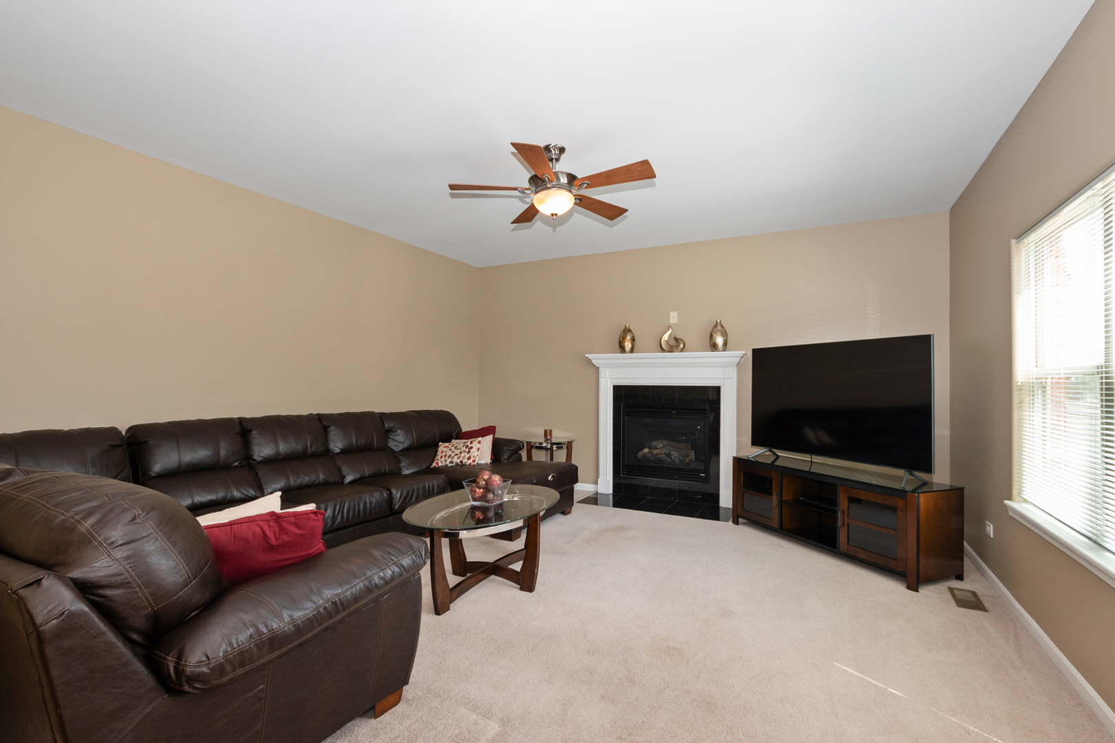 21139 Vivienne Drive, Matteson, IL 60443