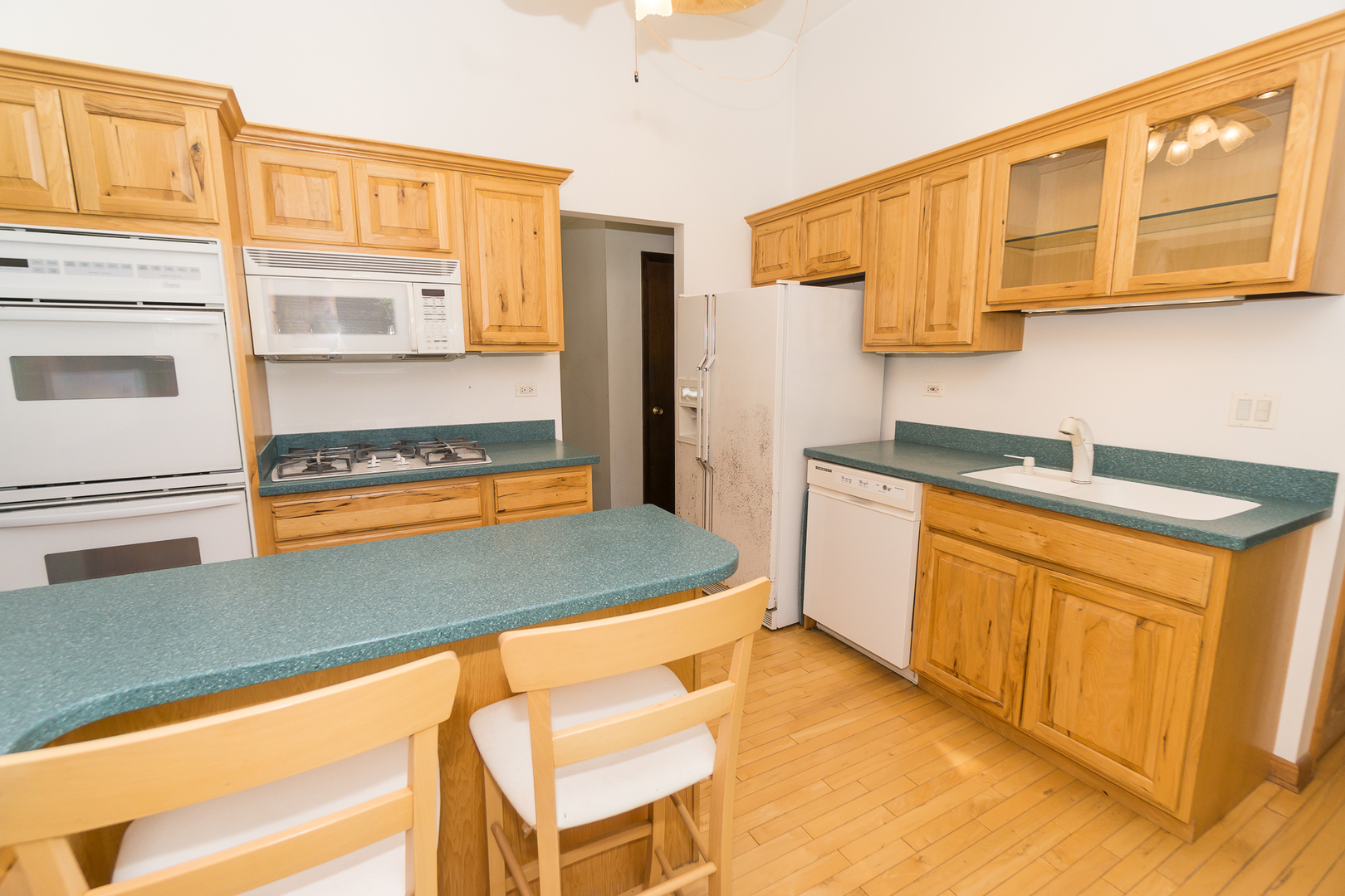 305 Montclare Lane, Wood Dale, IL 60191
