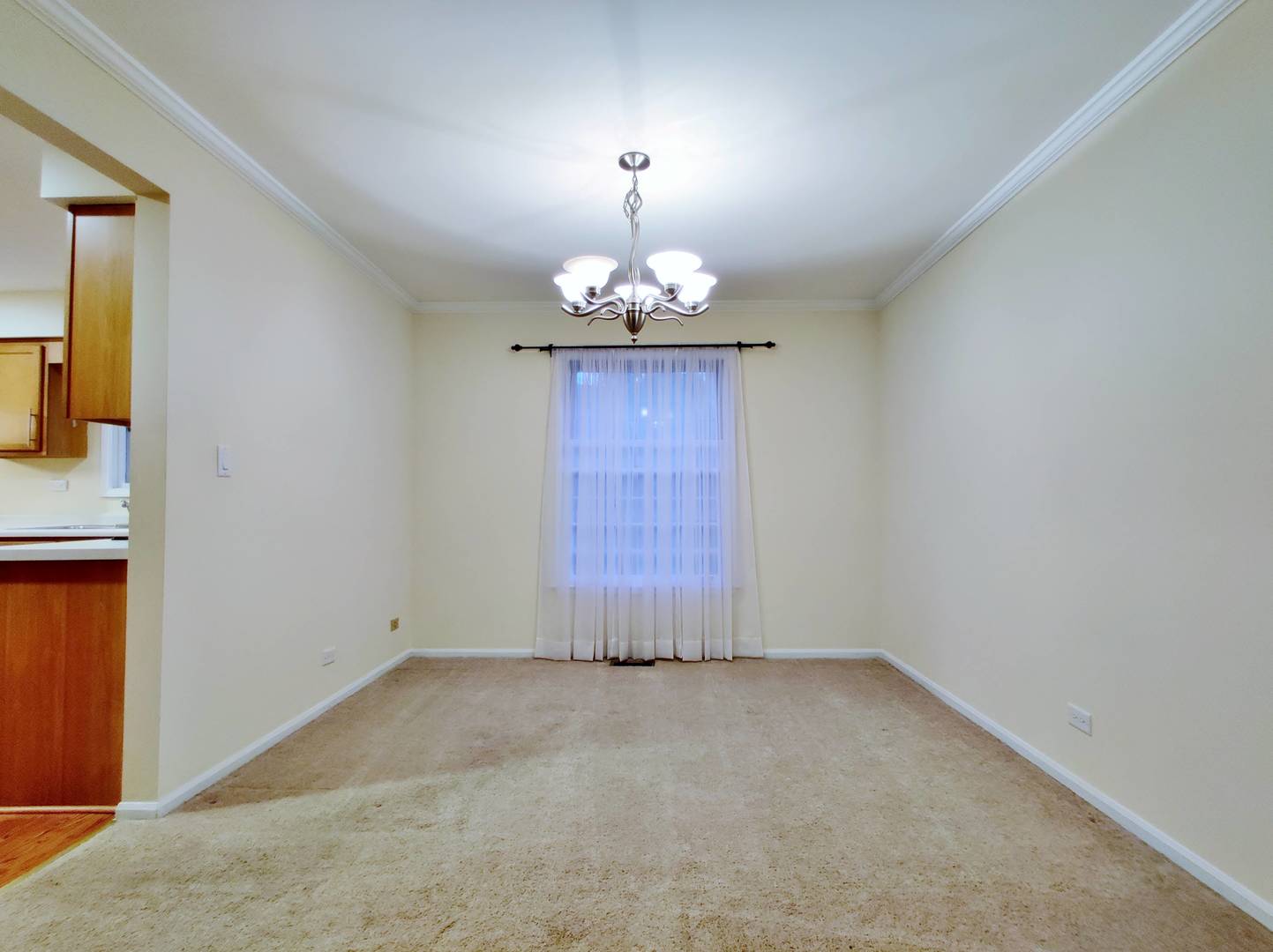 1520 Chippewa Drive, Naperville, IL 60563