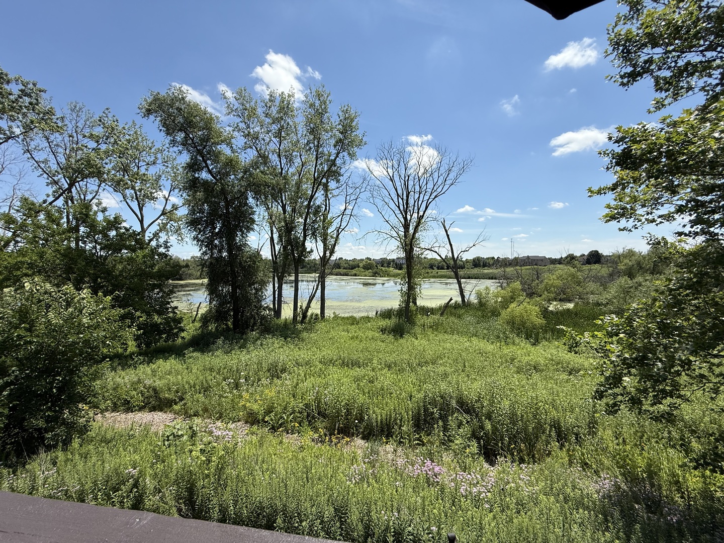 23 Harborside Way, Hawthorn Woods, IL 60047