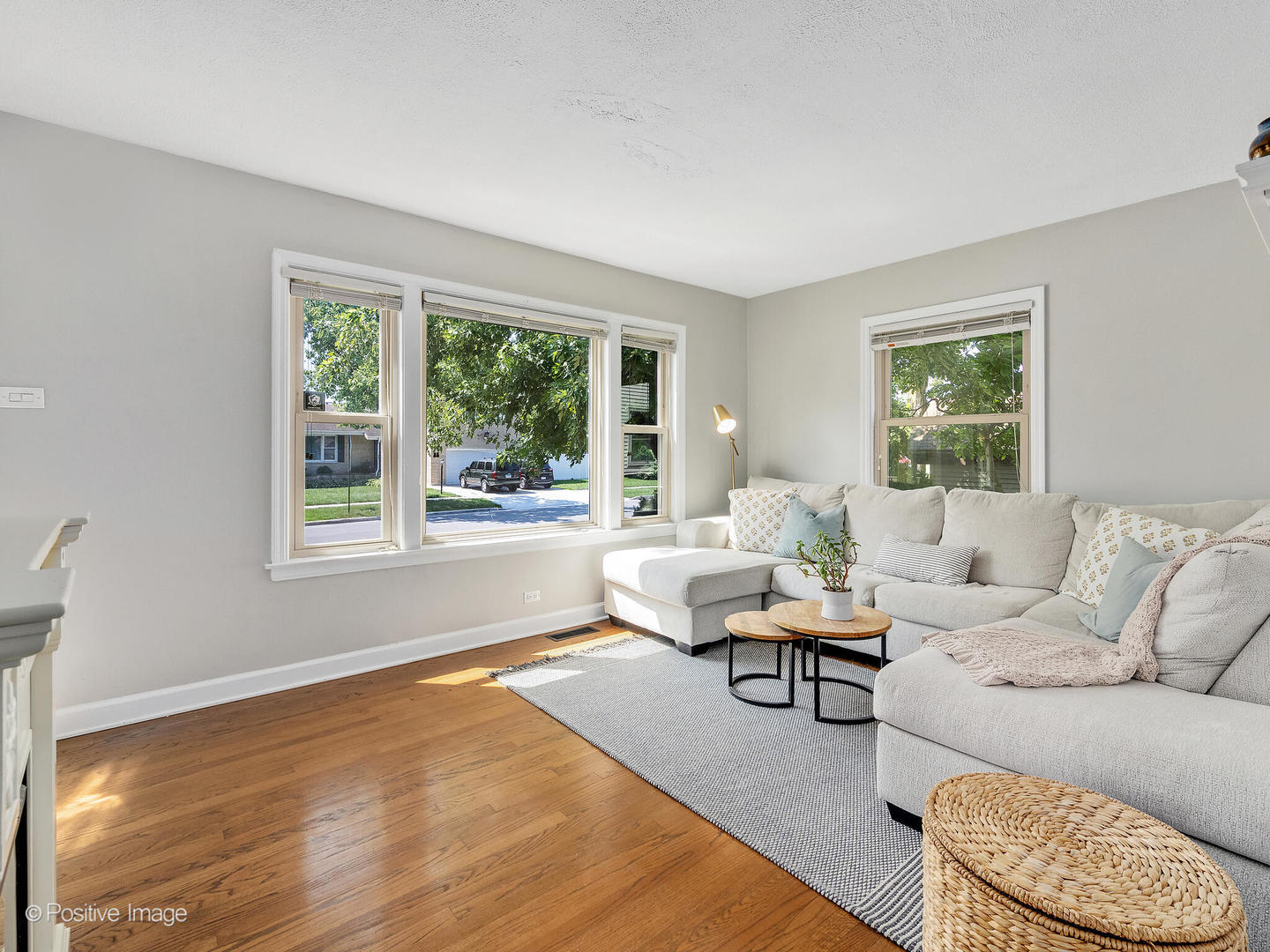 8828 Burlington Avenue, Brookfield, IL 60513
