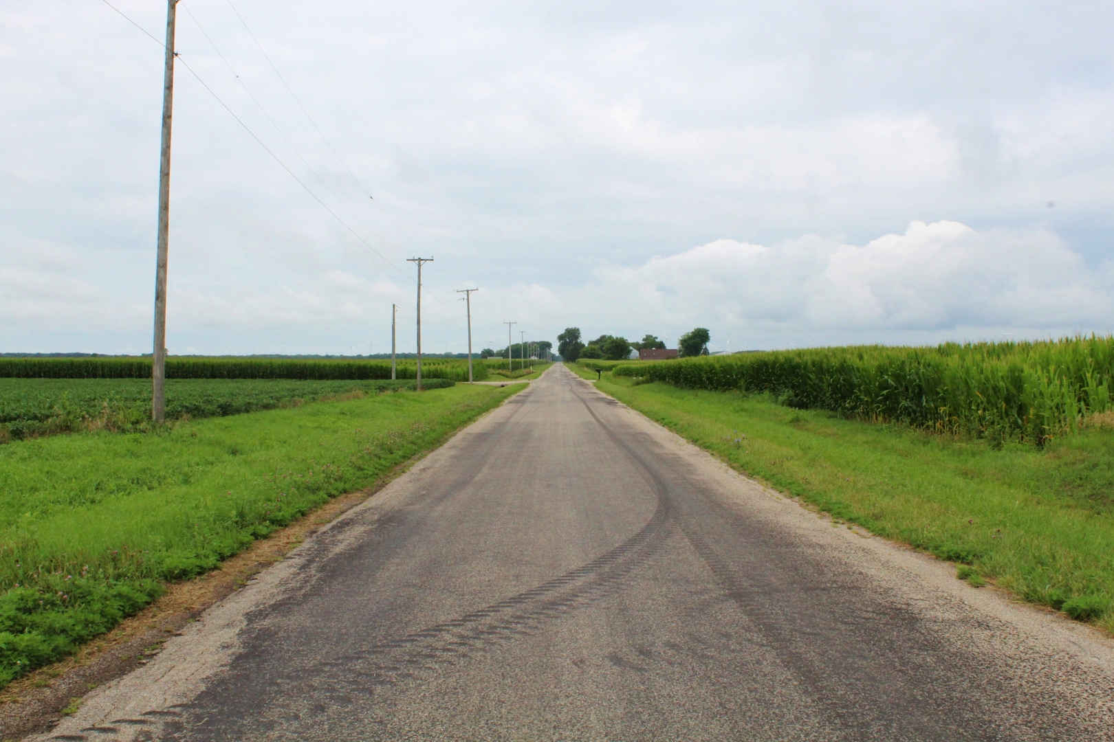1170 W GOODFARM Road, Dwight, IL 60420