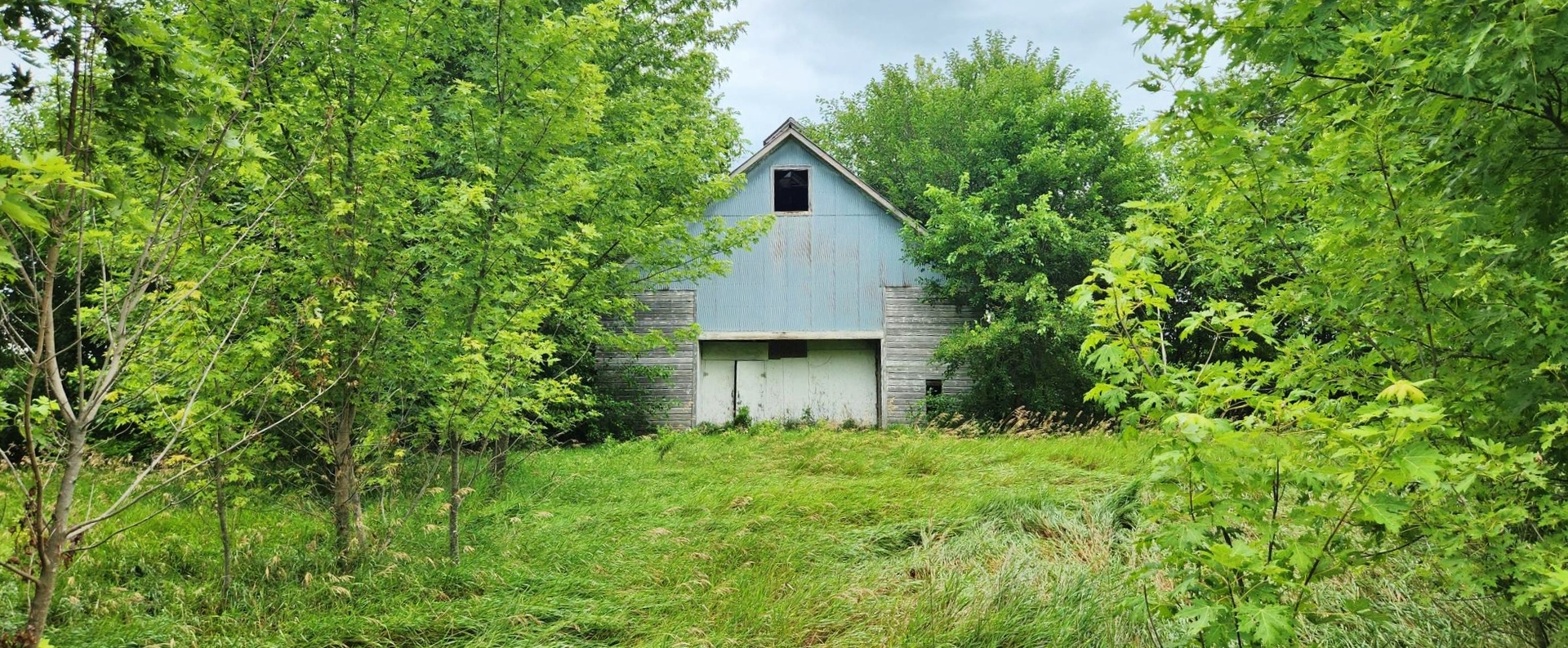 1170 W GOODFARM Road, Dwight, IL 60420