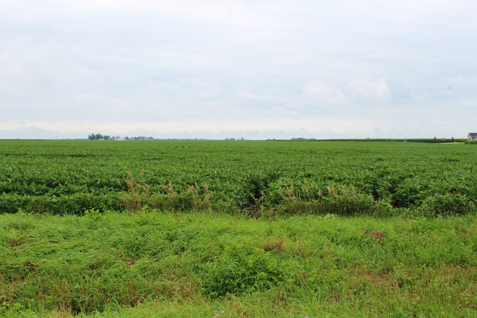1170 W GOODFARM Road, Dwight, IL 60420