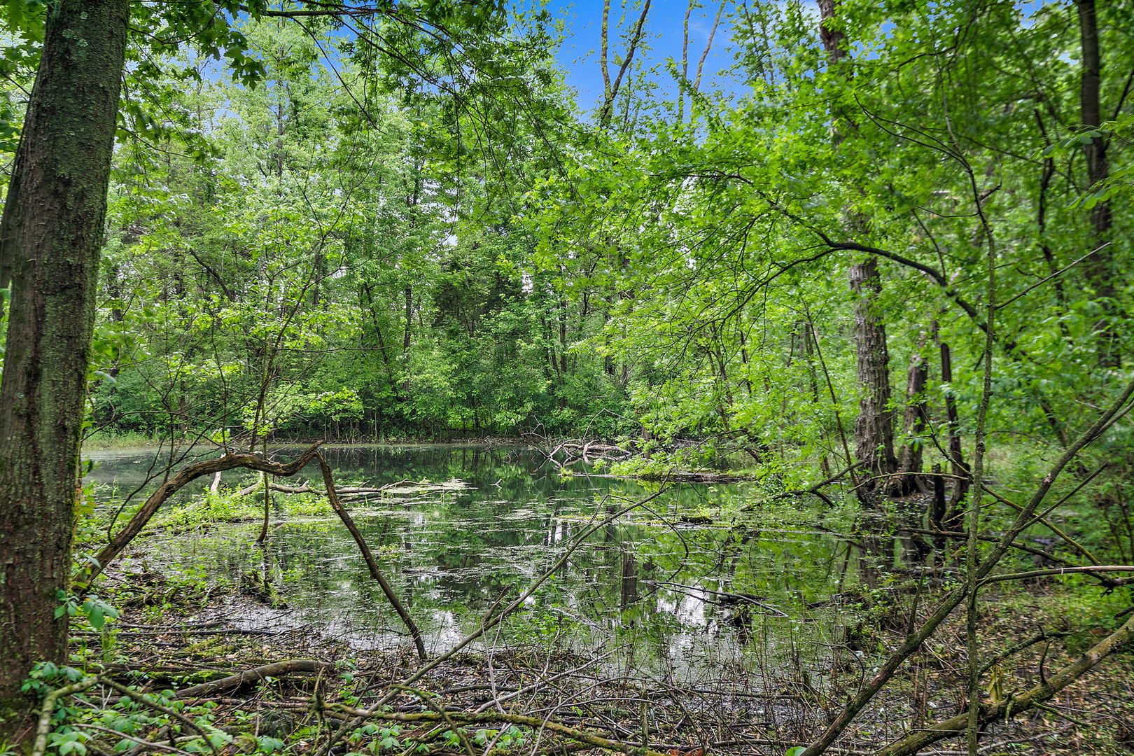 25561 S Pinewood Lane, Monee, IL 60449