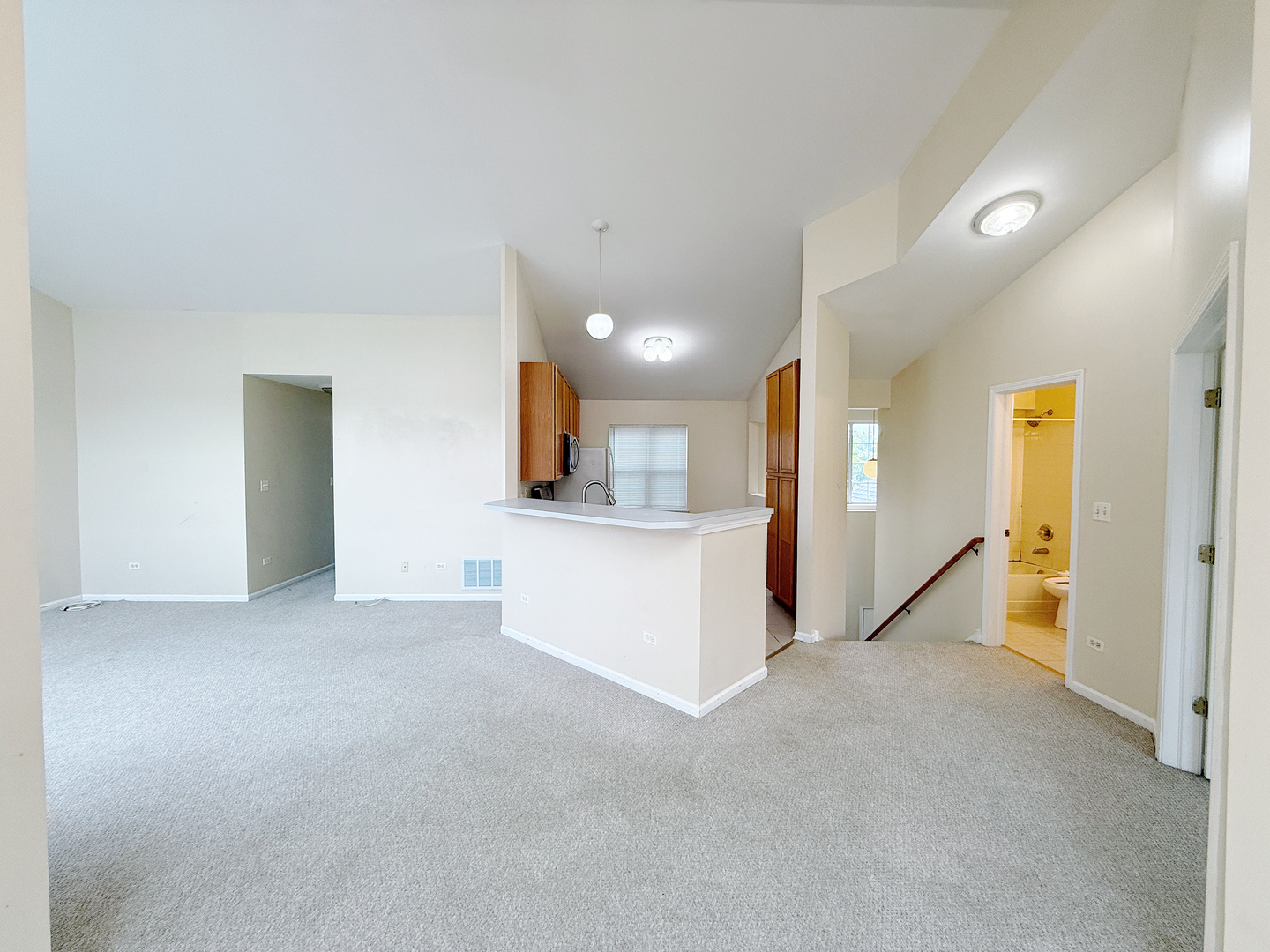 2235 Waterleaf Court #203, Naperville, IL 60564