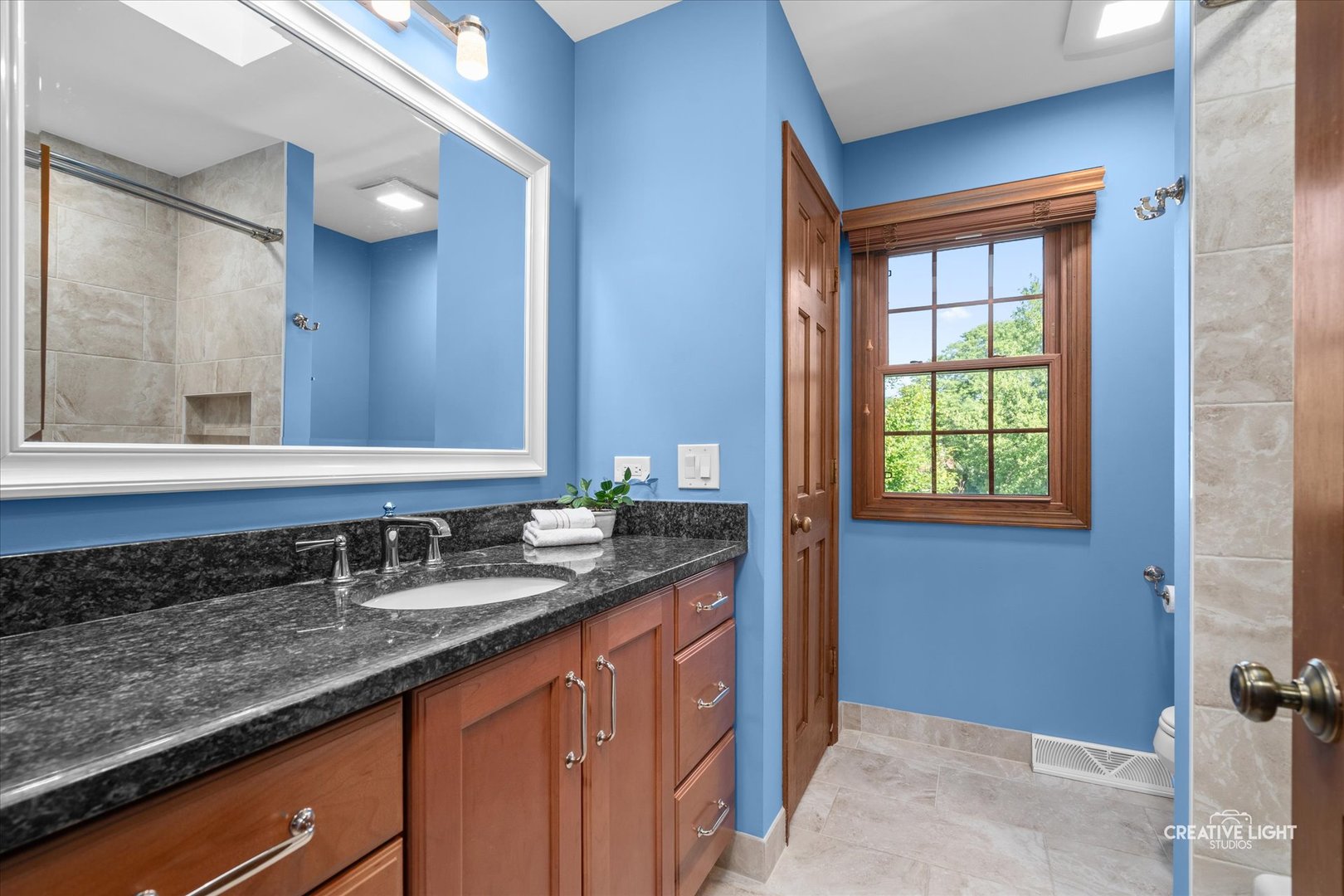 1423 Meander Drive, Naperville, IL 60565