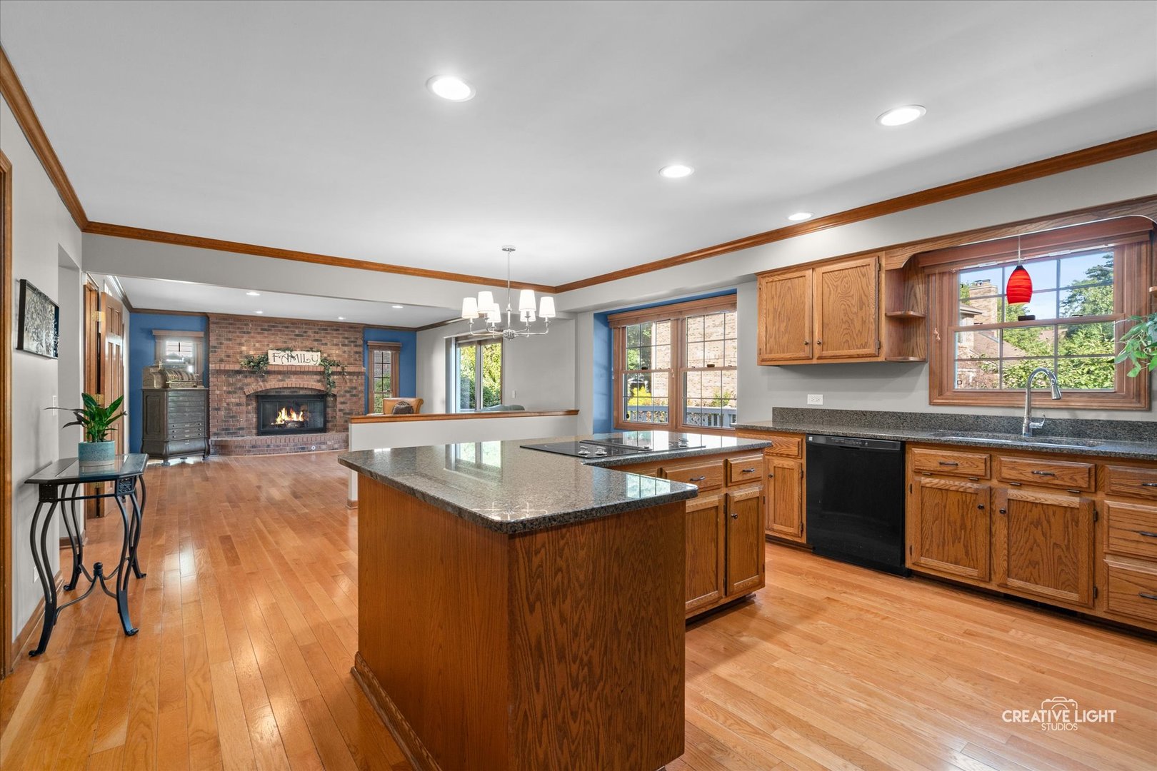 1423 Meander Drive, Naperville, IL 60565