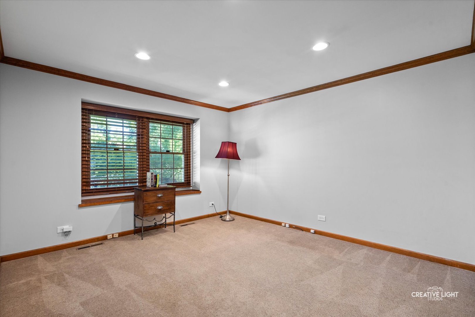 1423 Meander Drive, Naperville, IL 60565