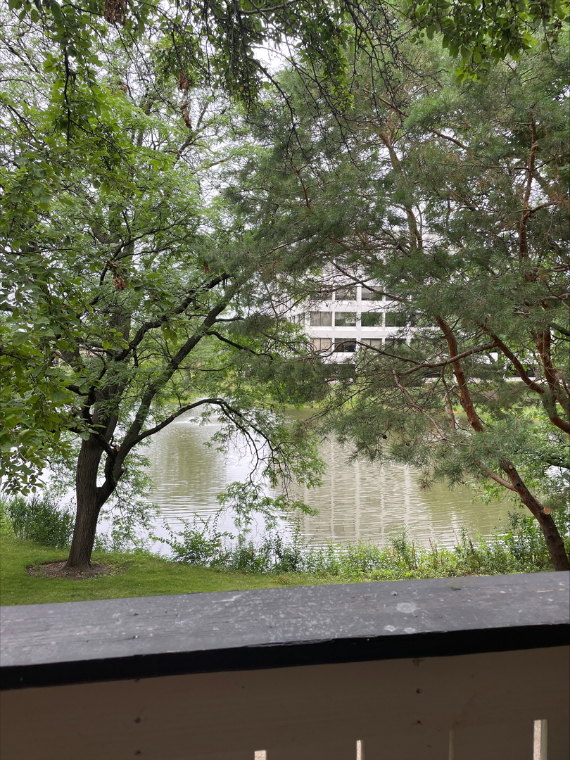 1813 Hemlock Place #206, Schaumburg, IL 60173