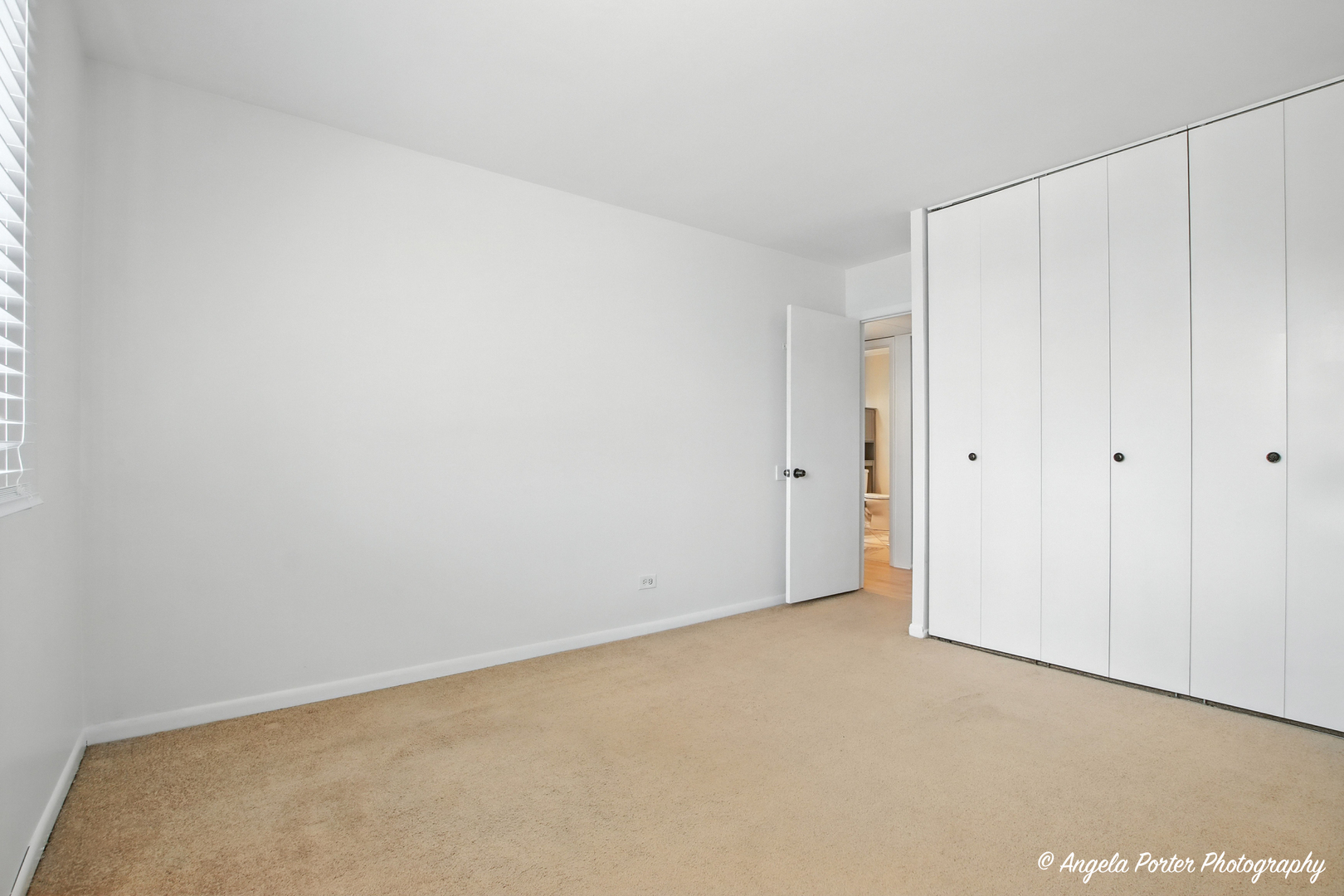 2600 Brookwood Way Drive #305, Rolling Meadows, IL 60008