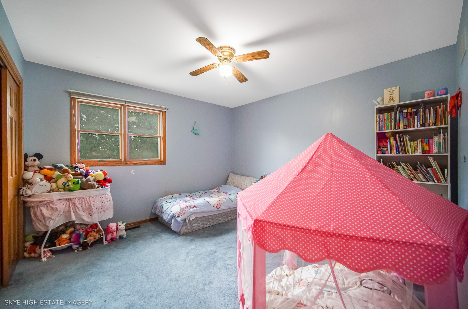 17718 Foxboro Lane, Homer Glen, IL 60491