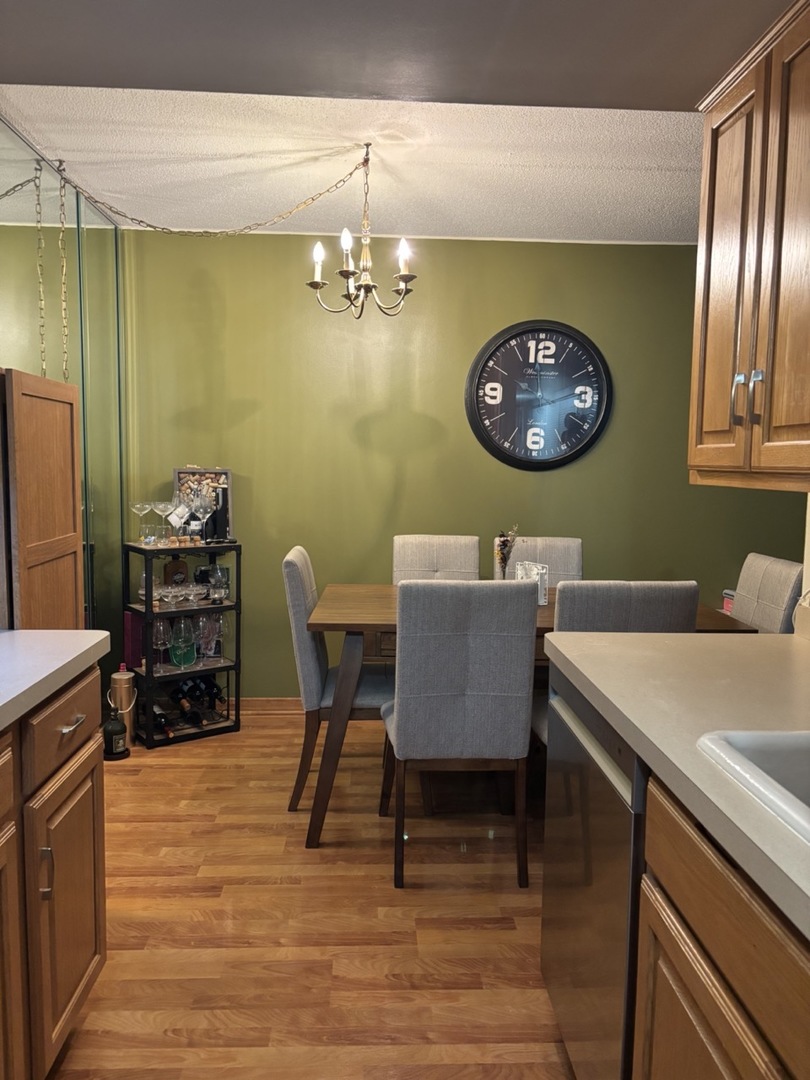 502 Redondo Drive #112, Downers Grove, IL 60516