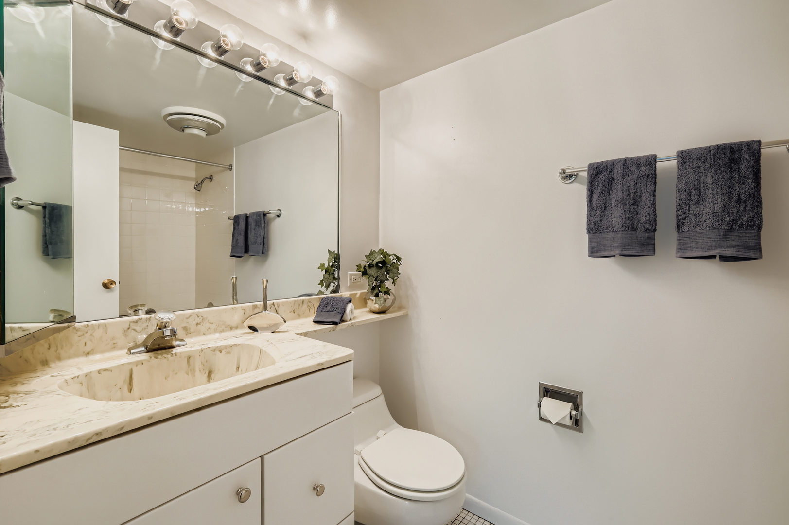 35 S Baybrook Drive #609, Palatine, IL 60074