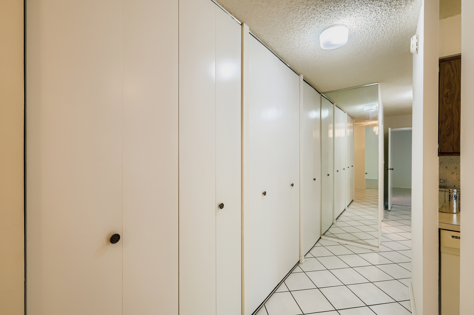 35 S Baybrook Drive #609, Palatine, IL 60074