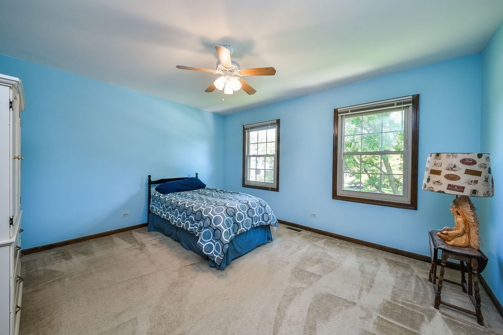516 Cassin Road, Naperville, IL 60565