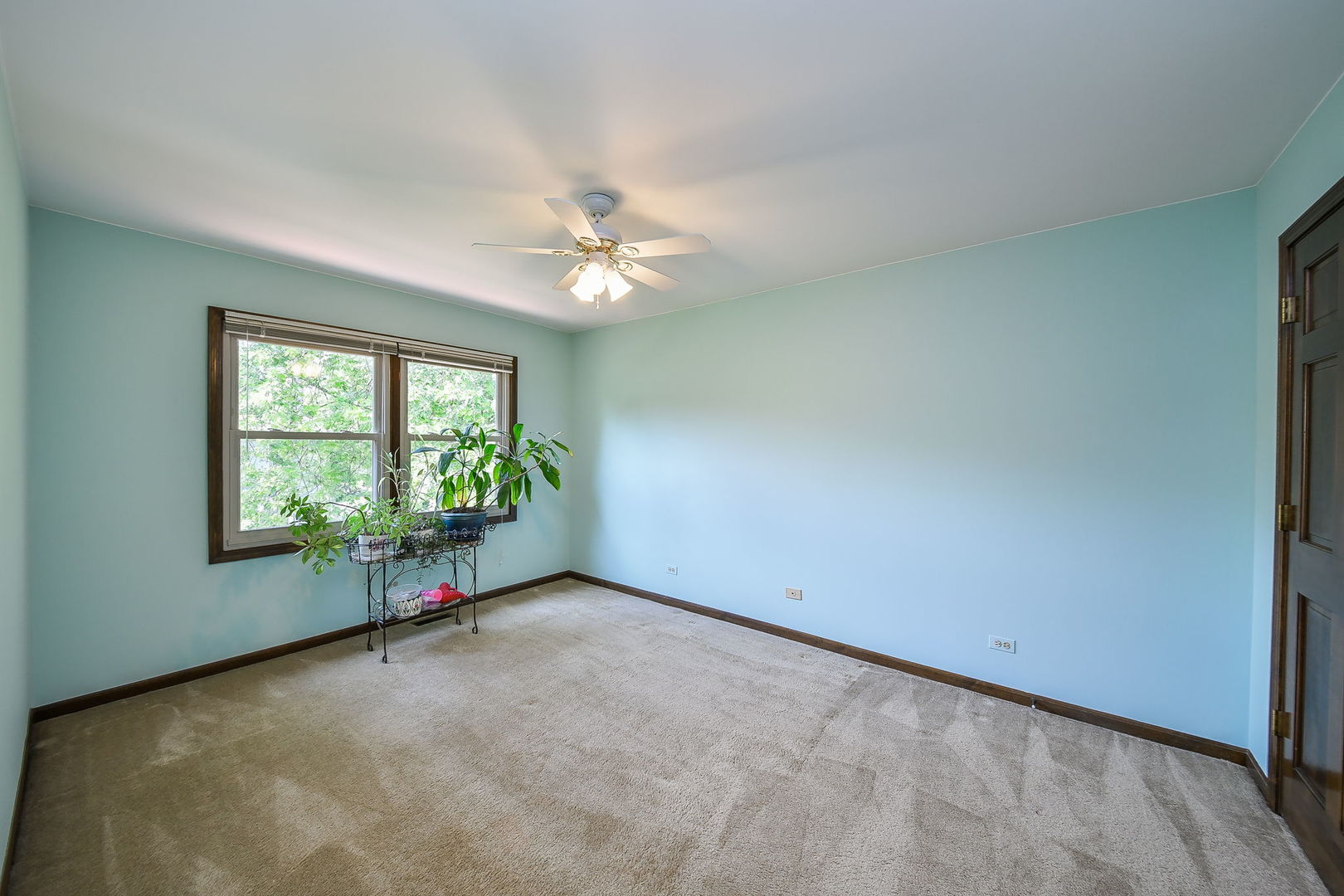 516 Cassin Road, Naperville, IL 60565