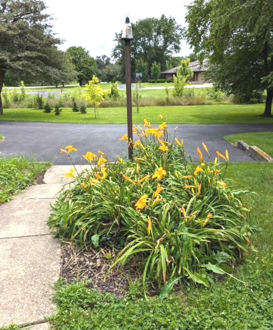 3N080 Morningside Avenue, West Chicago, IL 60185