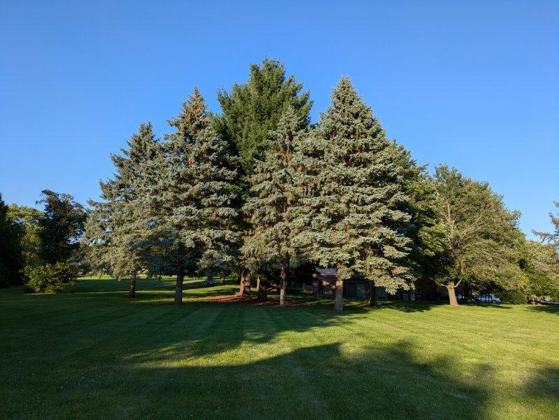 3N080 Morningside Avenue, West Chicago, IL 60185