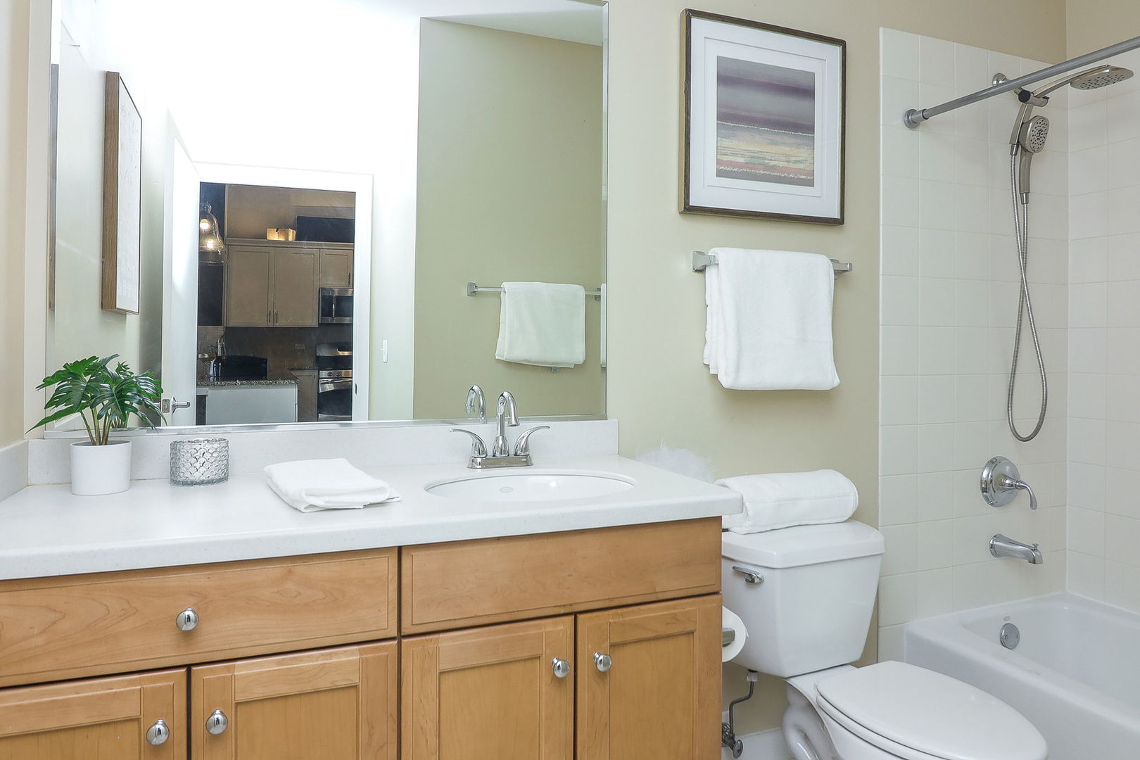450 Village Center Drive #217, Burr Ridge, IL 60527