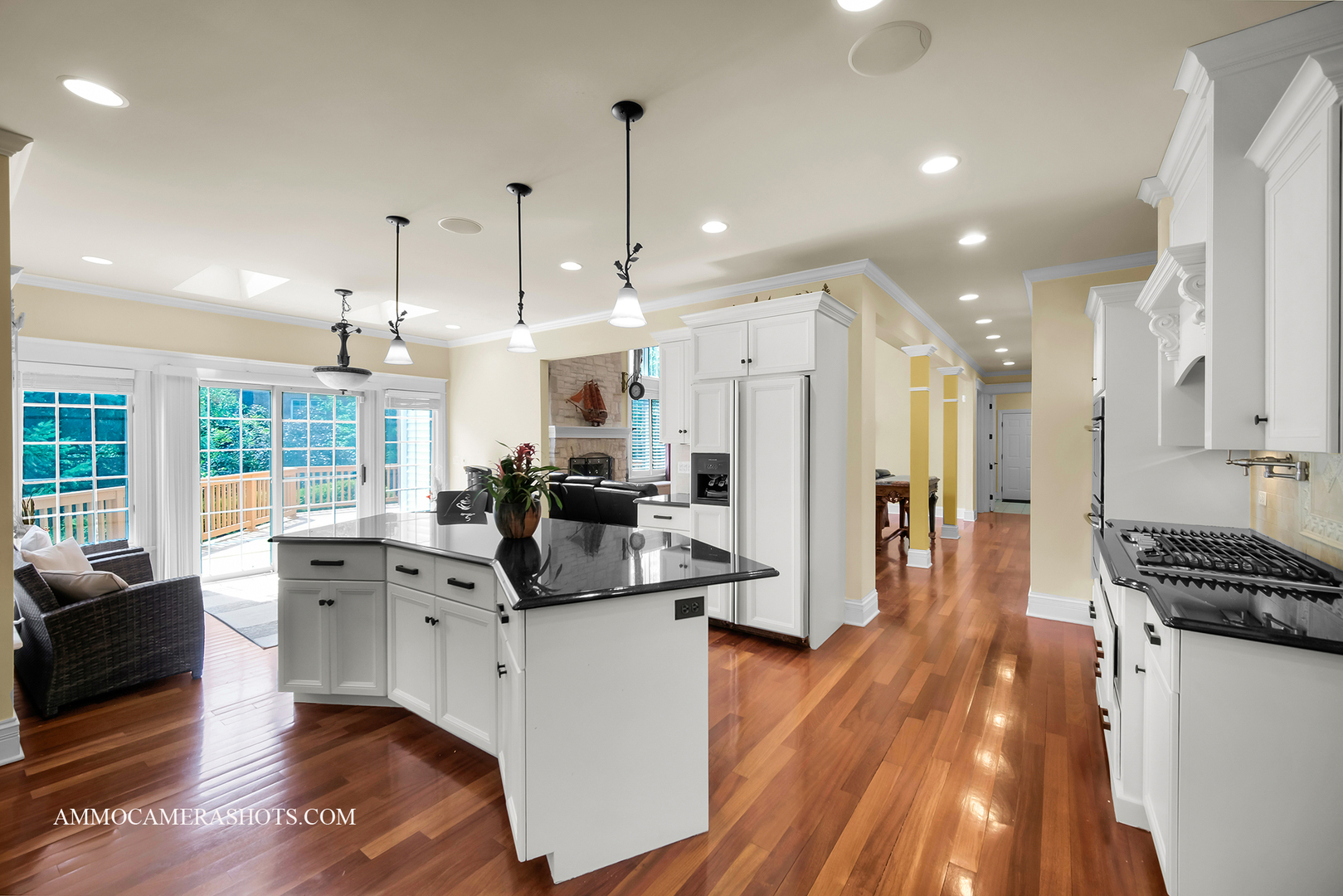 3707 Junebreeze Lane, Naperville, IL 60564