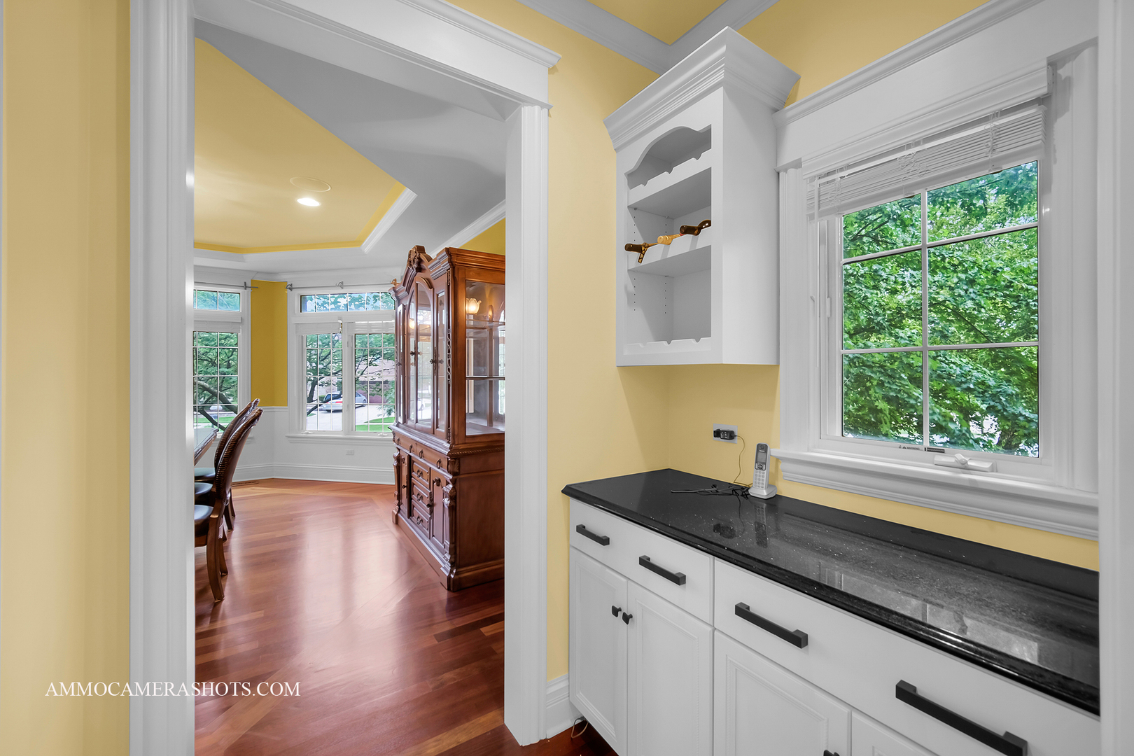 3707 Junebreeze Lane, Naperville, IL 60564