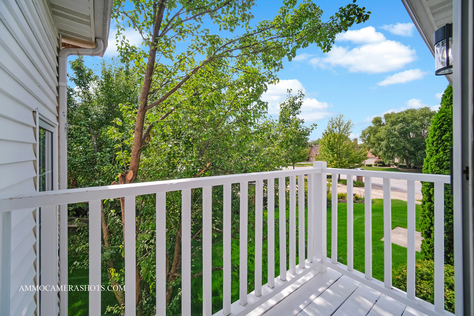 3707 Junebreeze Lane, Naperville, IL 60564