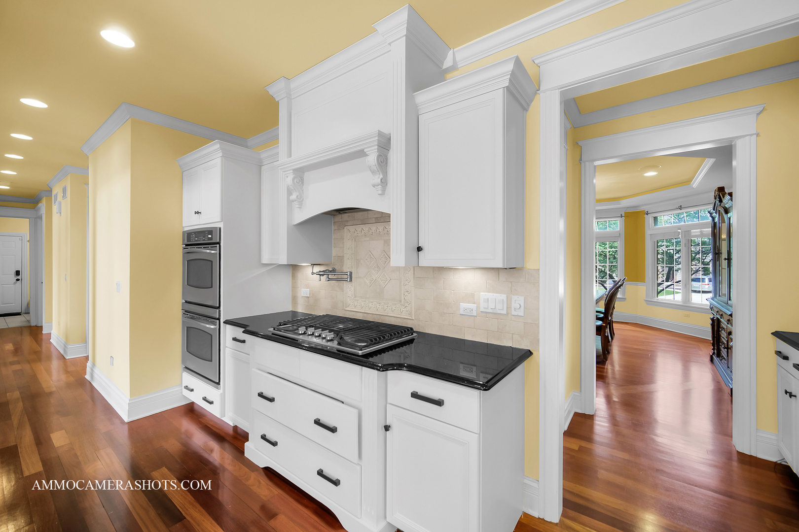 3707 Junebreeze Lane, Naperville, IL 60564