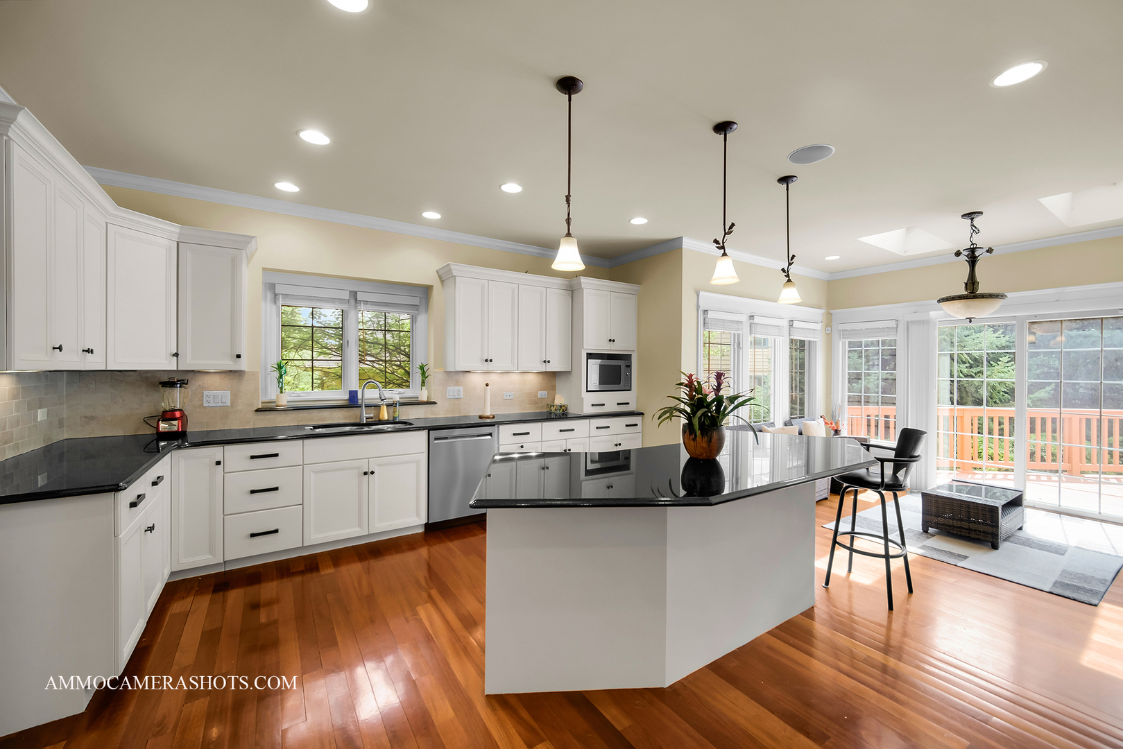 3707 Junebreeze Lane, Naperville, IL 60564