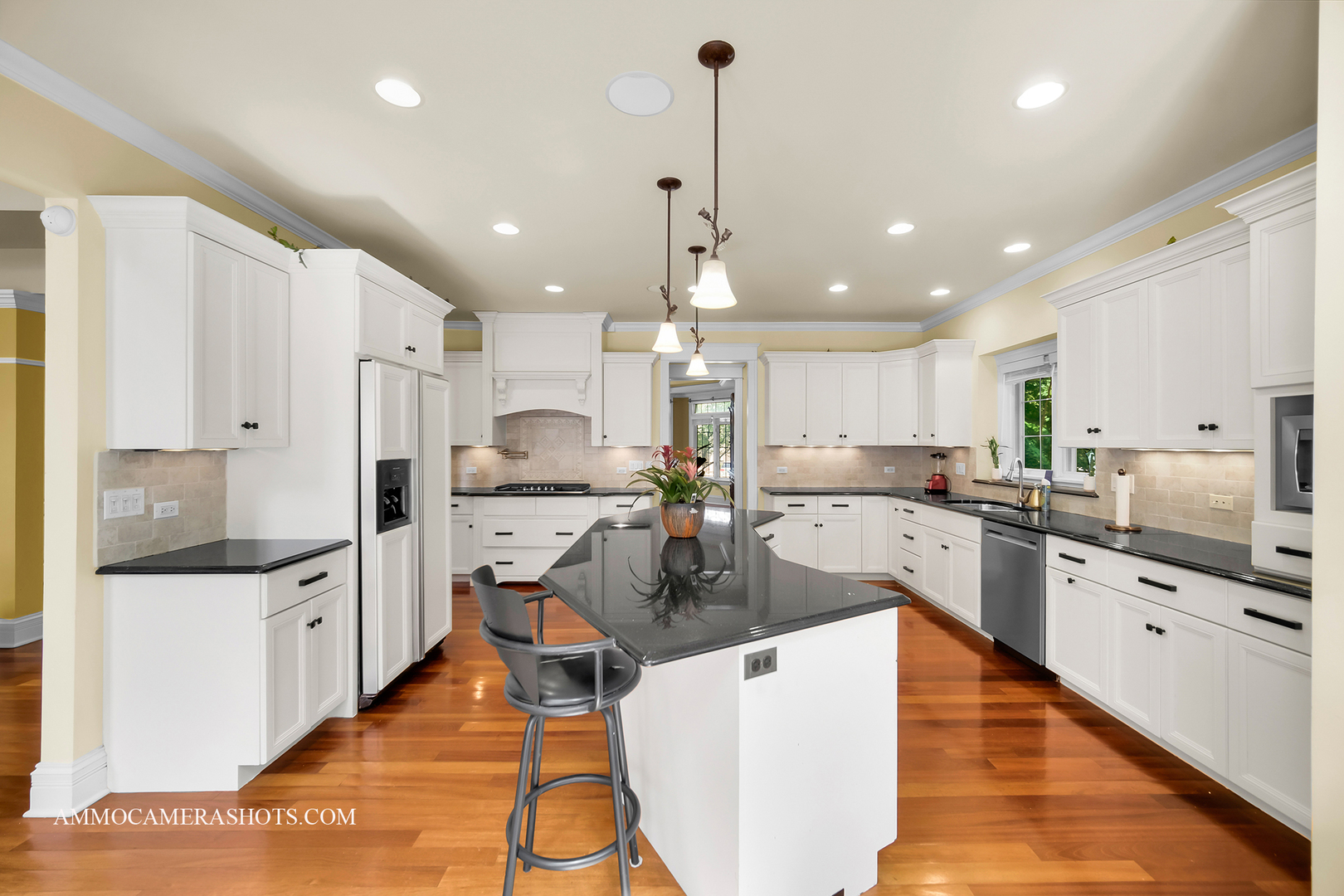 3707 Junebreeze Lane, Naperville, IL 60564