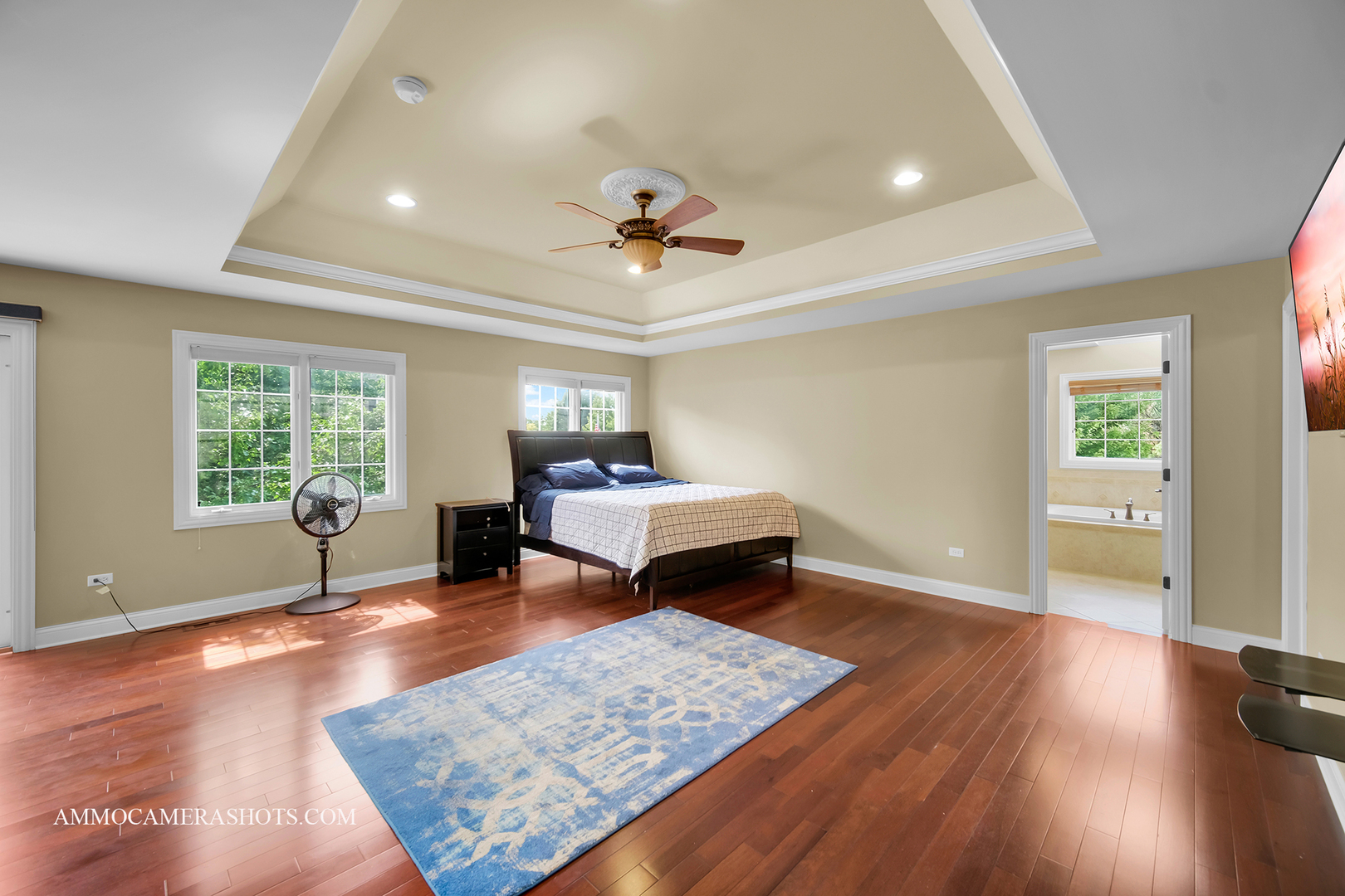 3707 Junebreeze Lane, Naperville, IL 60564
