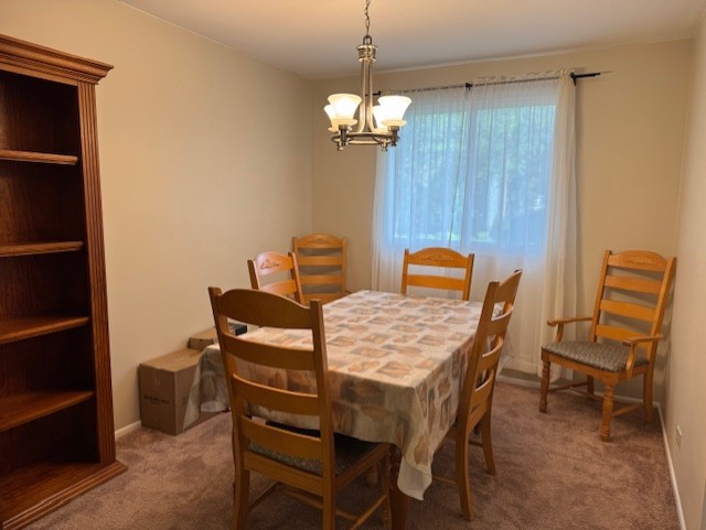 1302 Oxford Lane, Wheaton, IL 60189