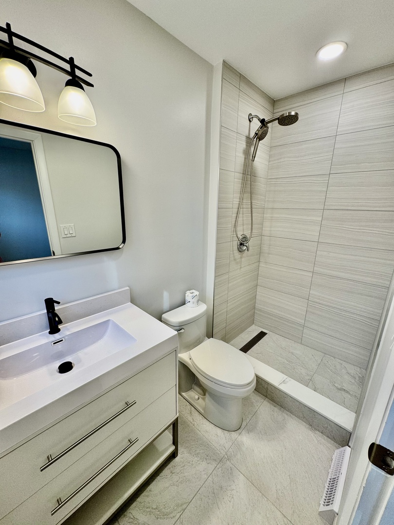 171 E Van Buren Street #2, Elmhurst, IL 60126