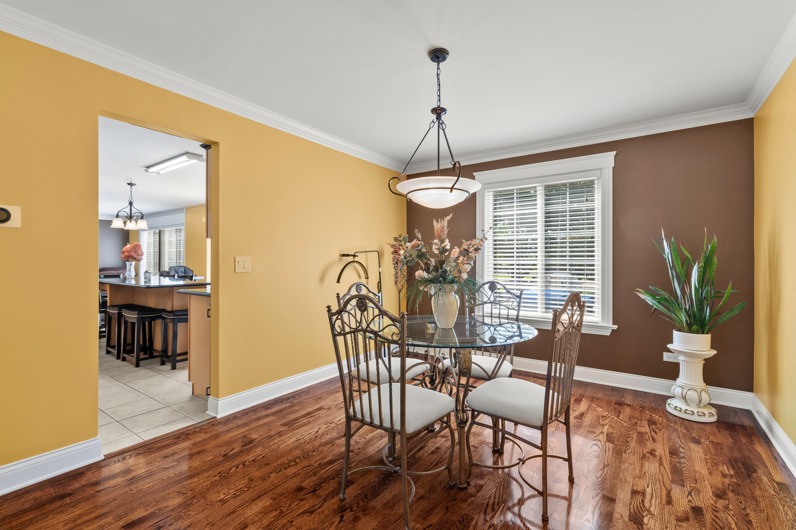 1567 Marigold Lane, Minooka, IL 60447