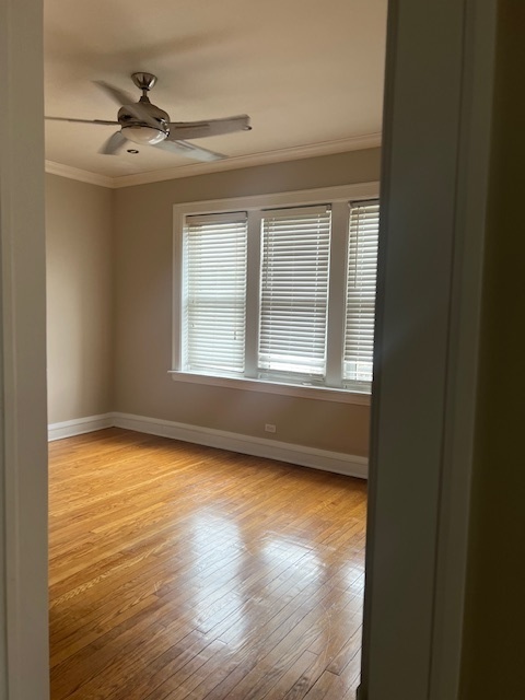 8116 S Ingleside Avenue #3, Chicago, IL 60619