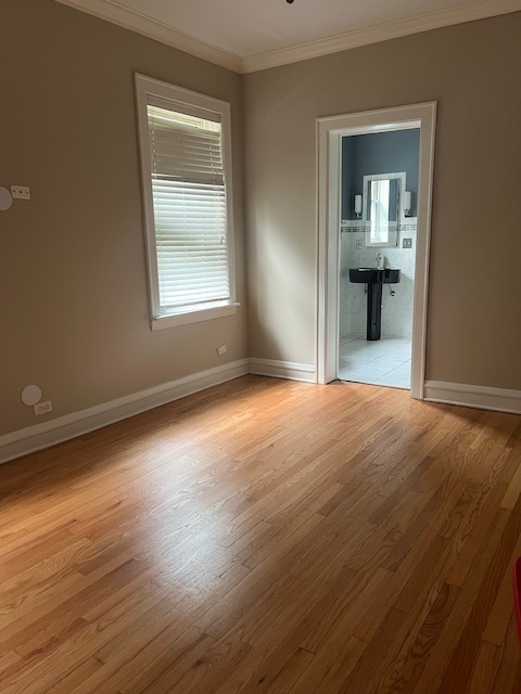 8116 S Ingleside Avenue #3, Chicago, IL 60619