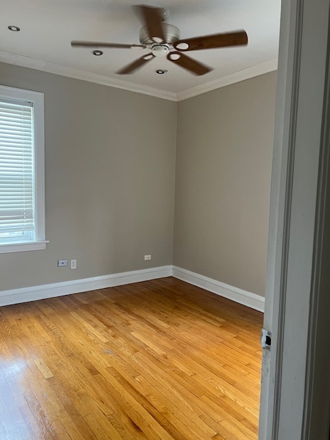 8116 S Ingleside Avenue #3, Chicago, IL 60619