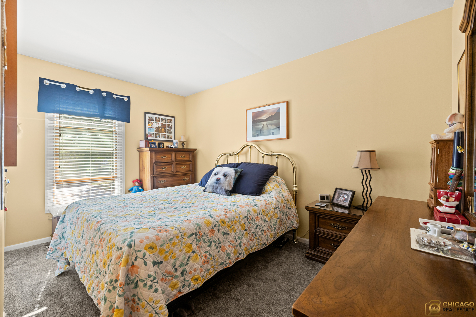 1190 Singleton Drive, Roselle, IL 60172