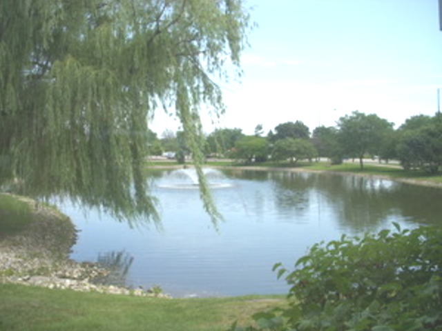 3 Trails Drive #W1, Schaumburg, IL 60194