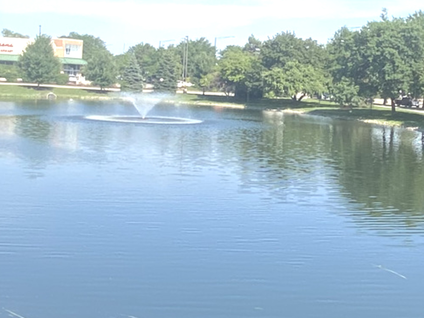 3 Trails Drive #W1, Schaumburg, IL 60194