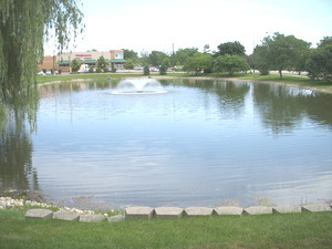 3 Trails Drive #W1, Schaumburg, IL 60194