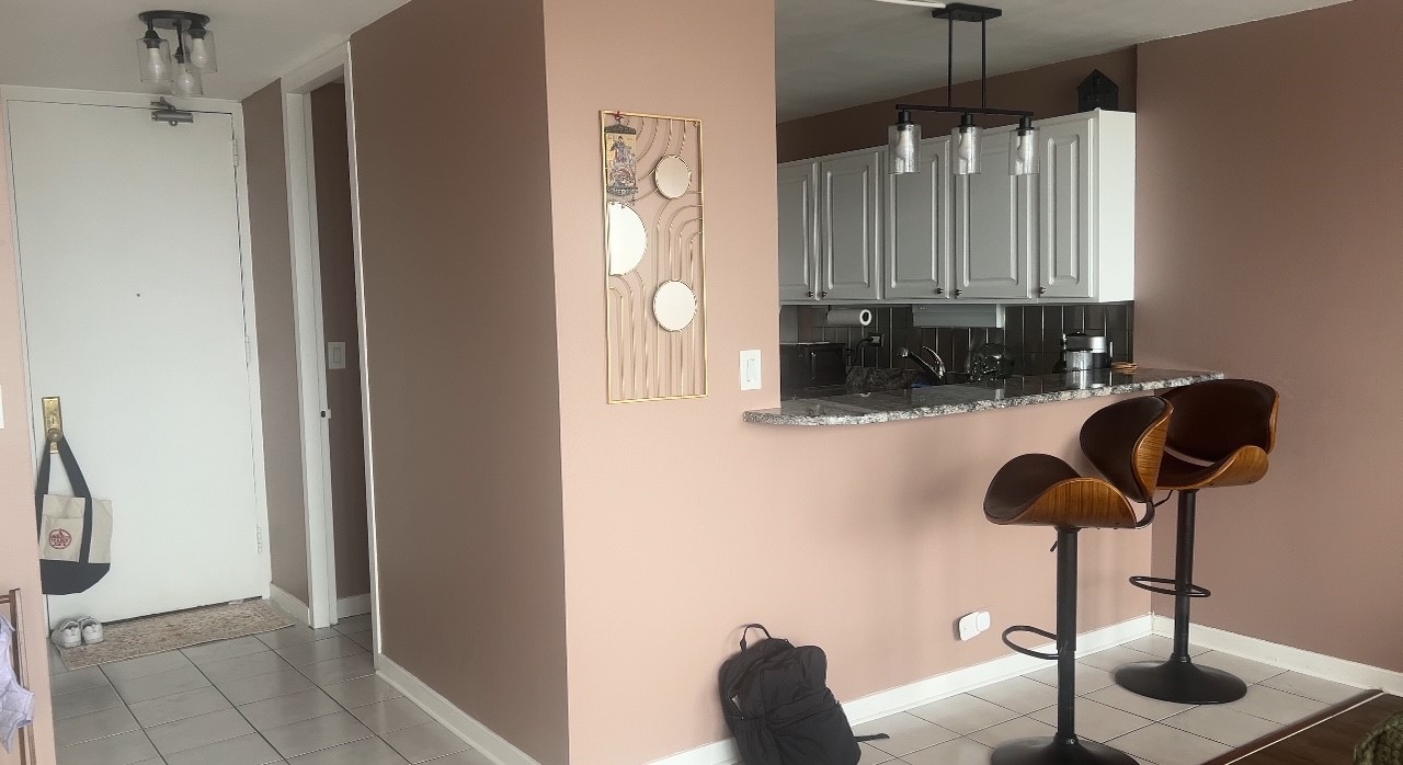 655 W Irving Park Road #2505, Chicago, IL 60613