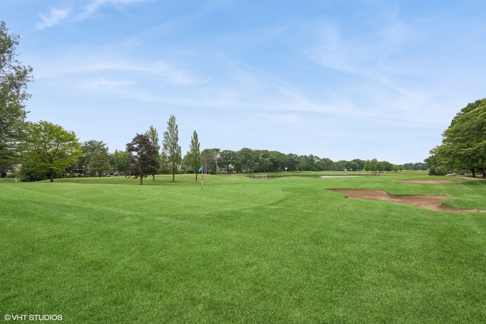 166 Willow Parkway #166, Buffalo Grove, IL 60089